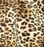 AnimalPrint 3 AnimalPrint 3