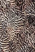 Animal Print 8 Animal Print 8