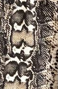 Animal Print 12 Animal Print 12