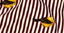 Rayado Bordo y Blanco Estampado Rayado Bordo y Blanco Estampado