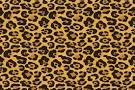 Animal print Animal print