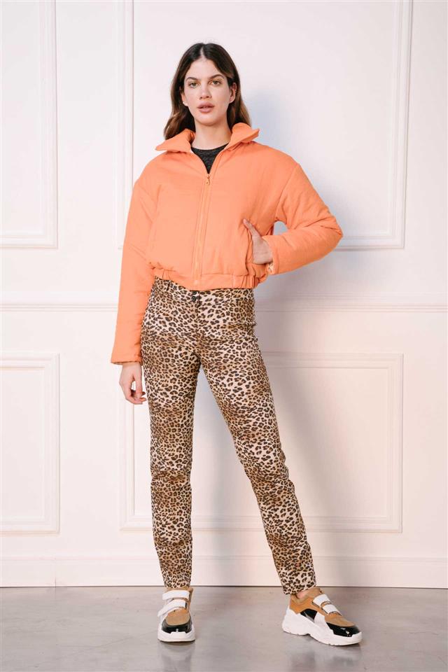 Campera Dabria