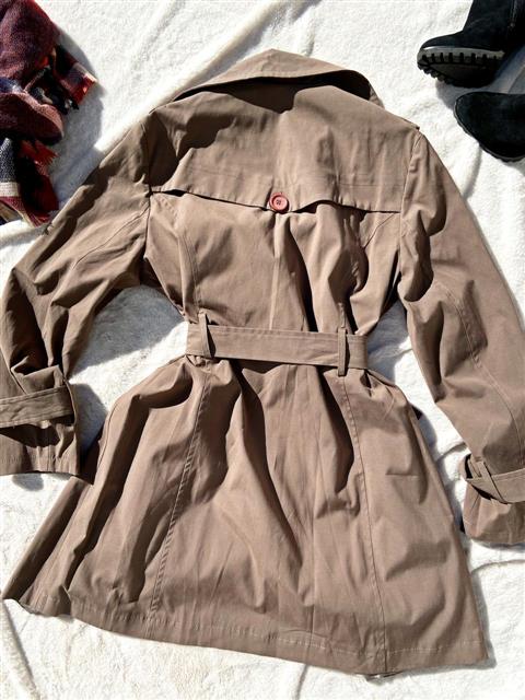 Tapado Trench